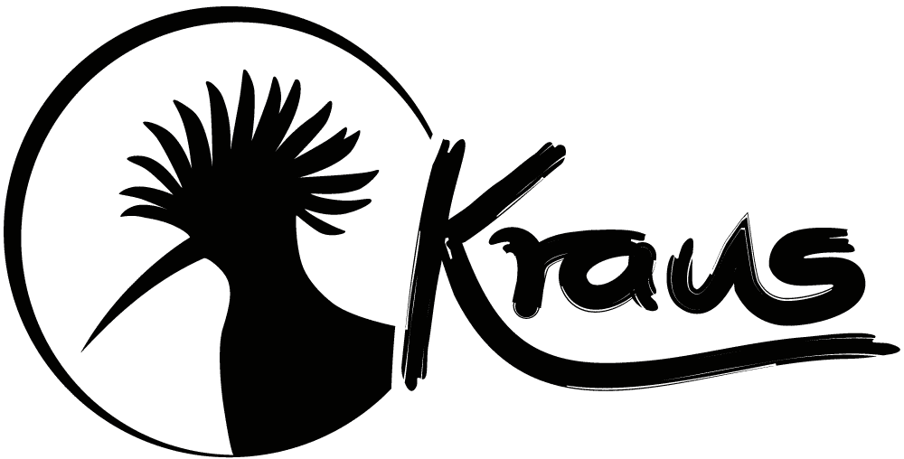 Kraus macht Musik